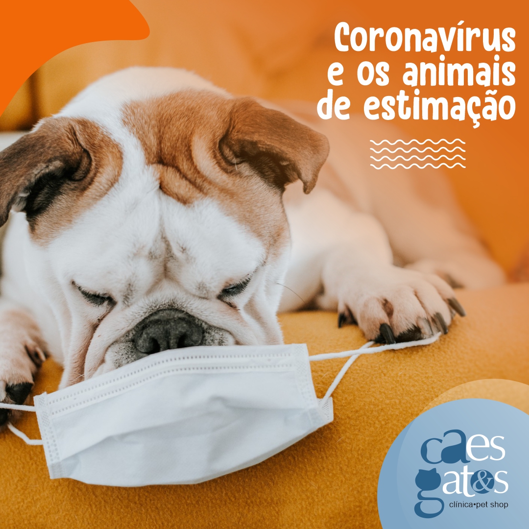 Coronavírus e os Animais de Estimação
