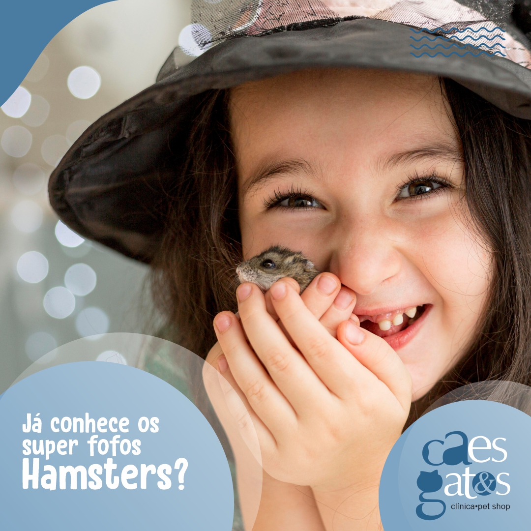 Já conhece os super fofos Hamsters?