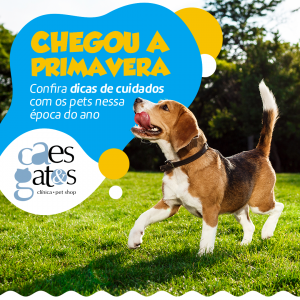 Chegou a primavera | Confira dicas de cuidados com os pets nessa época do ano