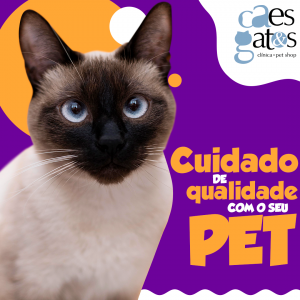 Cuidado de qualidade com seu pet