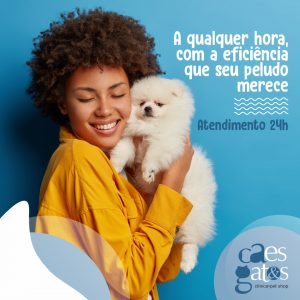 A qualquer hora, com a eficiência que seu peludo merece