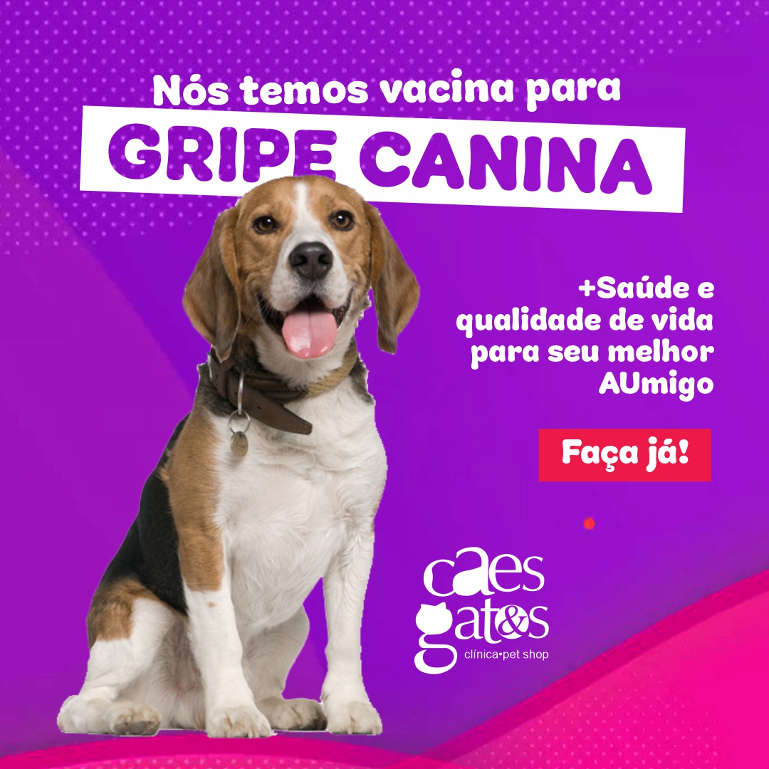 Nós Temos Vacina para Gripe Canina