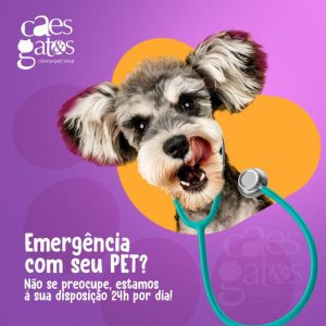 Emergência com seu pet? Não se preocupe, estamos à sua disposição 24h por dia