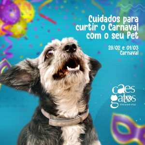 Cuidados para Curtir o Carnaval com seu Pet