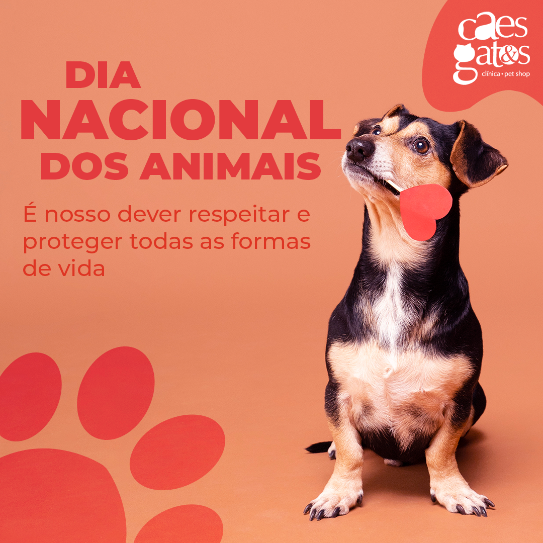 Dia Nacional dos Animais