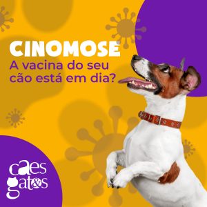 Cinomose: a Vacina do Seu Cão está em Dia?