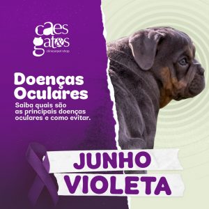 Junho Violeta | Doenças Oculares