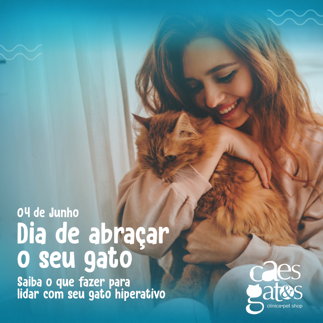 Dia de Abraçar Seu Gato