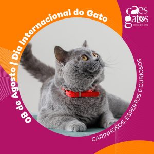 08/08 – Dia Internacional do Gato