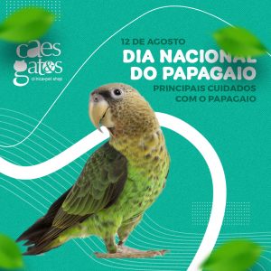 12/08 – Dia Nacional do Papagaio