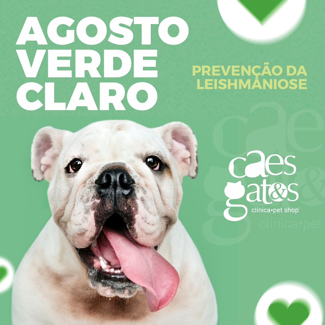 Agosto Verde Claro | Prevenção da Leishmaniose