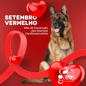 Setembro Vermelho | Mês de Prevenção das Doenças Cardiovasculares