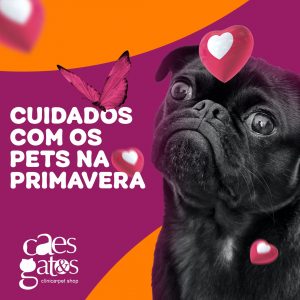 Cuidados com os Pets na Primavera