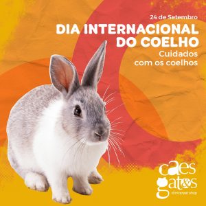 24/09 – Dia Internacional do Coelho