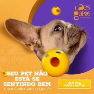 Seu pet não está se sentindo bem e você não sabe o que é?