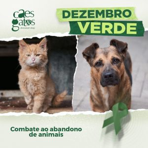 Dezembro Verde: Combate ao abandono de animais