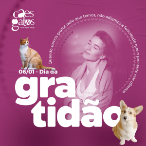 Quando somos gratos pelo que temos, não adiamos a felicidade que o presente nos oferece | 06/01 – Dia da Gratidão