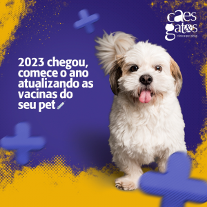 2023 chegou, comece o ano atualizando as vacinas do seu pet