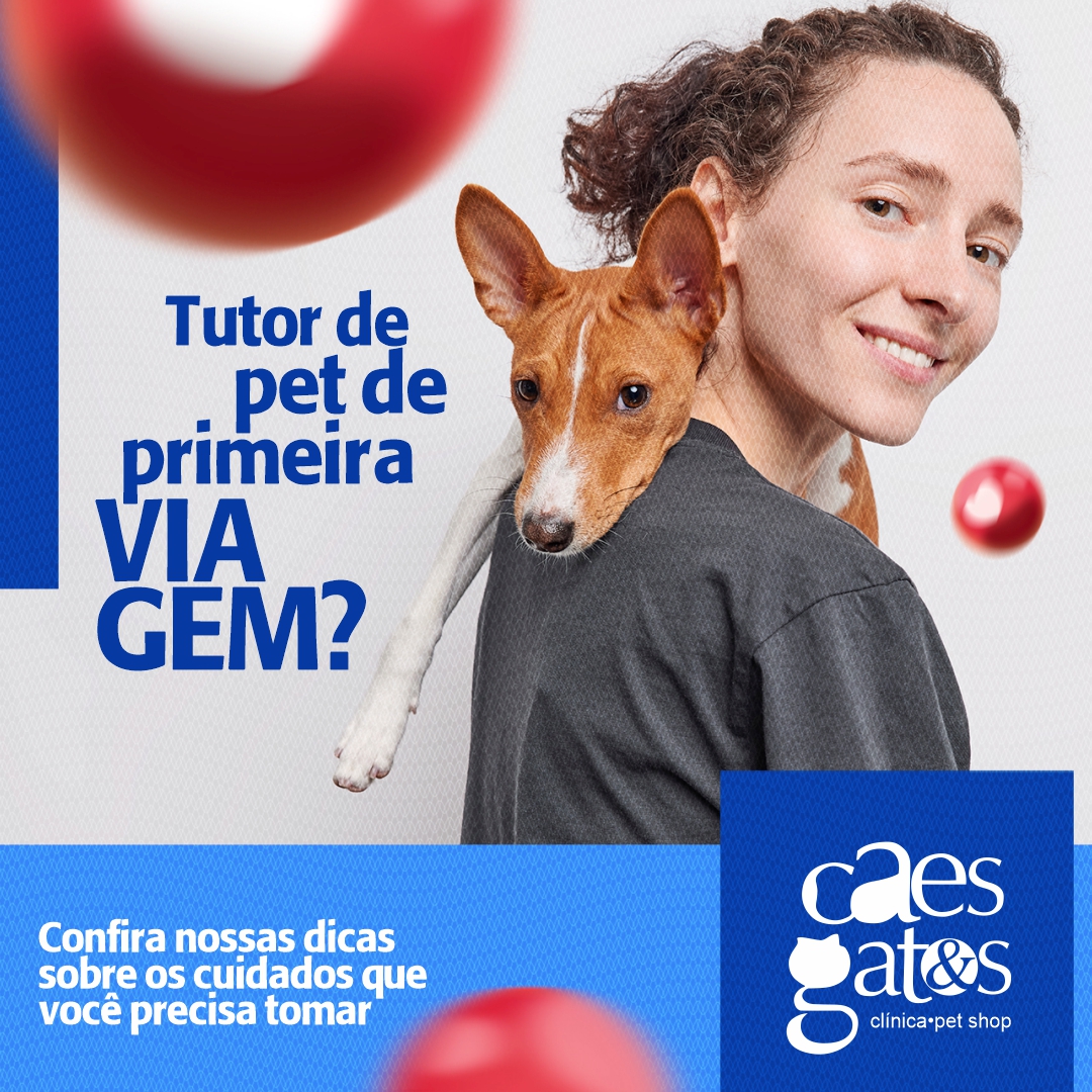 Tutor de pet de primeira viagem? Confira nossas dicas