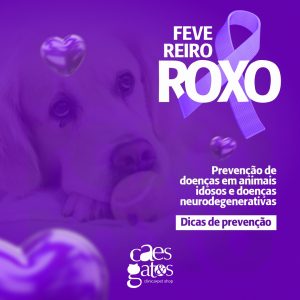 Fevereiro Roxo | Prevenção de doenças em animais idosos e doenças degenerativas