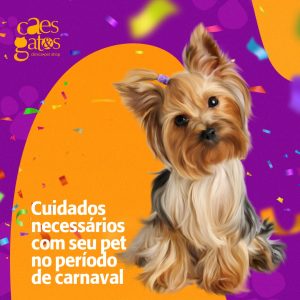 Cuidados necessários com seu pet no período de Carnaval