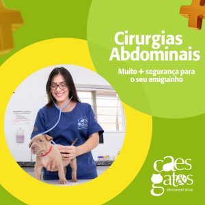 Cirurgias abdominais | Muito mais segurança para o seu amiguinho