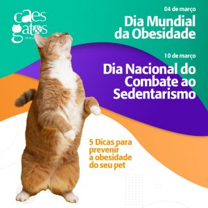 04/03 – Dia Mundial da Obesidade | 10/03 – Dia Nacional do Combate ao Sedentarismo | 5 Dicas para prevenir a obesidade do seu pet