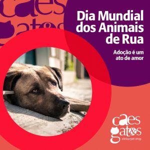 04/04 – Dia Mundial dos Animais de Rua