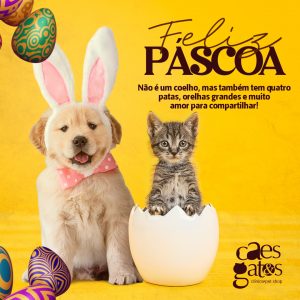 Feliz Páscoa | Clínica Cães e Gatos