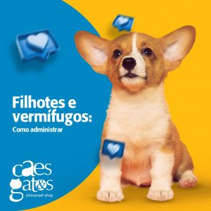 Filhos e vermífugos: Como administrar