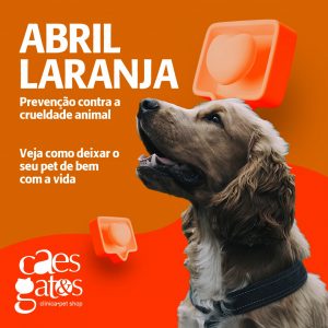 Abril Laranja: Prevenção contra a crueldade animal
