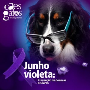 Junho Violeta: prevenção de doenças oculares