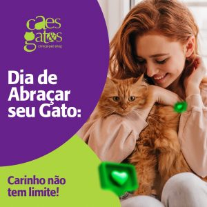 Dia de Abraçar seu Gato: Carinho não tem limite!