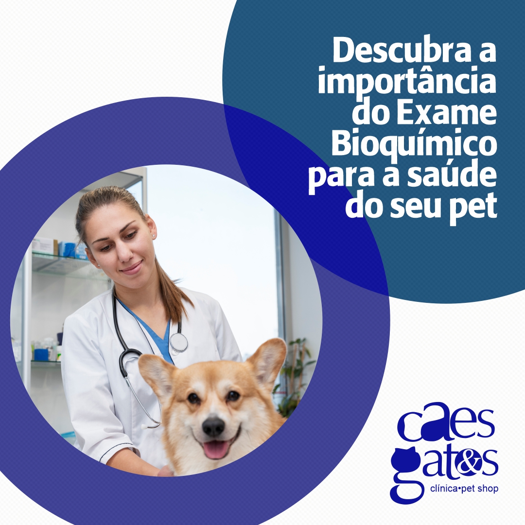 Descubra a importância do exame bioquímico para a saúde do seu pet