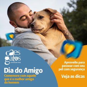 Dia do Amigo – Comemore com aquele que é o melhor amigo do homem | Dicas para passear com segurança