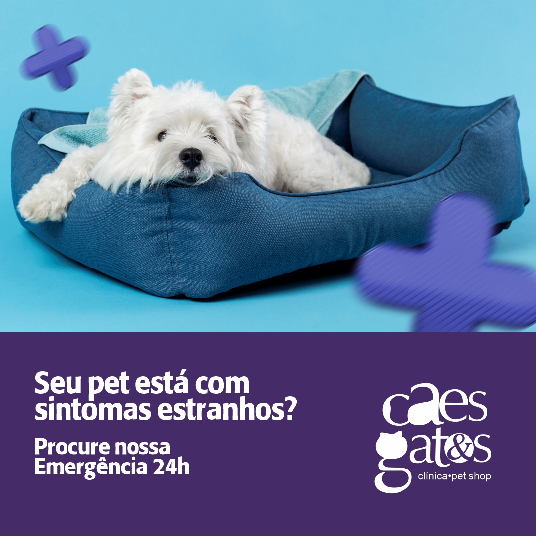 Seu pet está com sintomas estranhos? Procure nossa emergência 24h