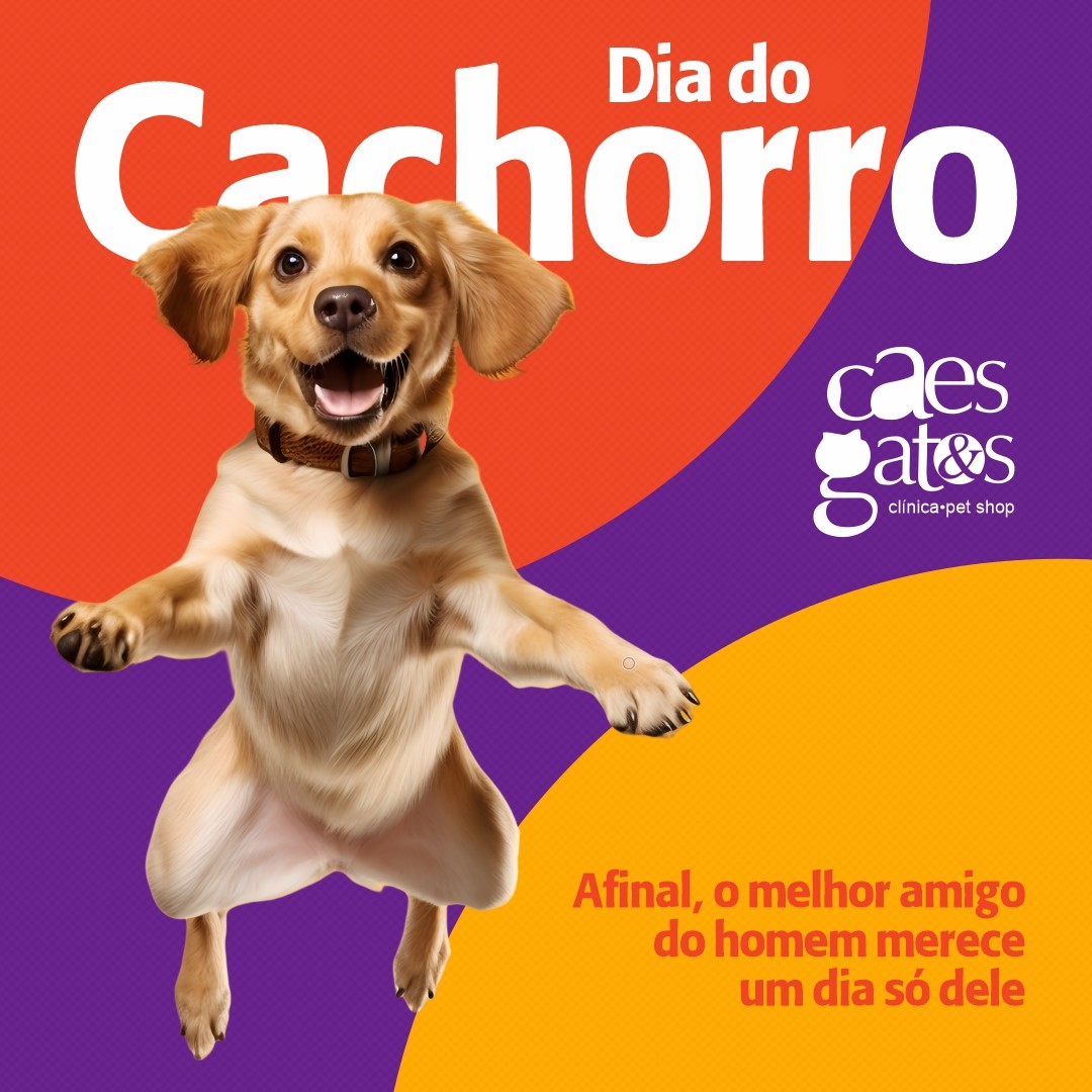 Dia do Cachorro | O melhor amigo do homem merece um dia só dele