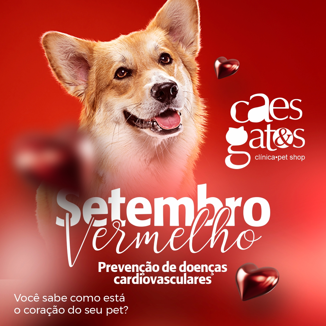 Setembro Vermelho – Prevenção de doenças cardiovasculares