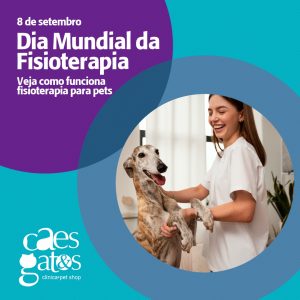 Dia Mundial da Fisioterapia | 08/09