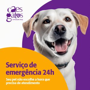 Serviço de emergência 24h | Clínica Cães e Gatos