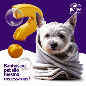 Banhos no pet são mesmo necessários?