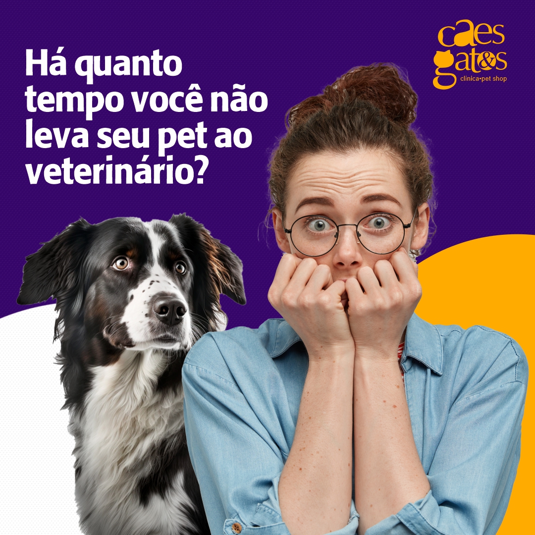 Há quanto tempo você não leva seu pet ao veterinário?