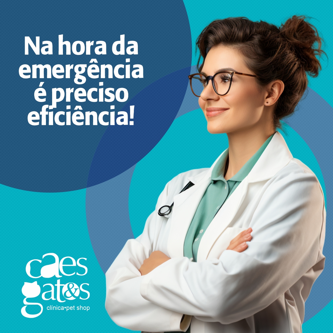 Na hora da emergência é preciso eficiência | Clínica Cães e Gatos