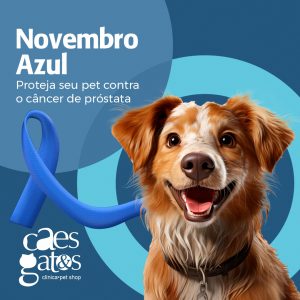 Novembro Azul – Proteja seu pet contra o câncer de próstata
