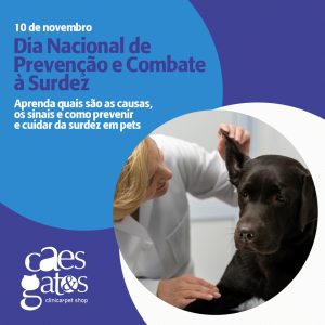 10/11 – Dia Nacional de Prevenção e Combate à Surdez