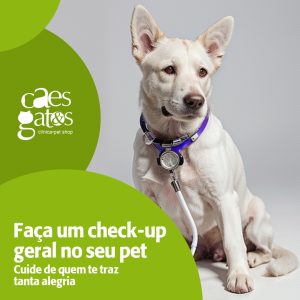 Faça um check-up geral no seu pet | Cuide de quem te traz tanta alegria