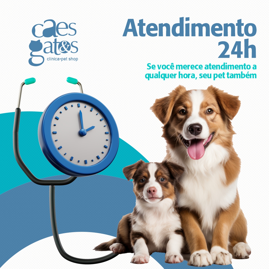 Se você merece atendimento a qualquer hora, seu pet também | Atendimento 24h