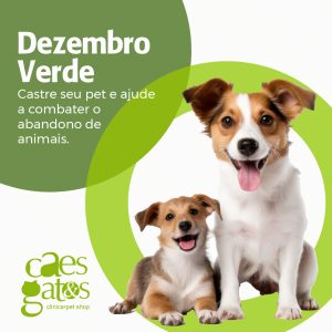 Dezembro Verde | Castre seu pet e combata o abandono de animais