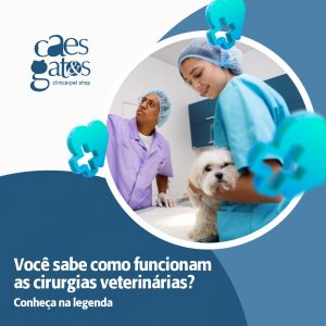 Você sabe como funcionam as cirurgias veterinárias?