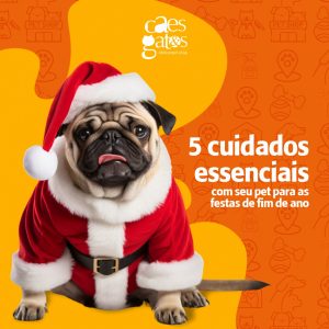 5 cuidados essenciais com seu pet para as festas de fim de ano